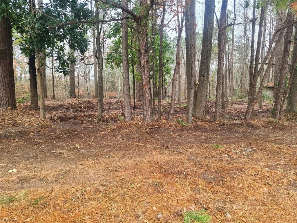 Par B George Washington Highway S, Chesapeake VA 23323 thumb 6