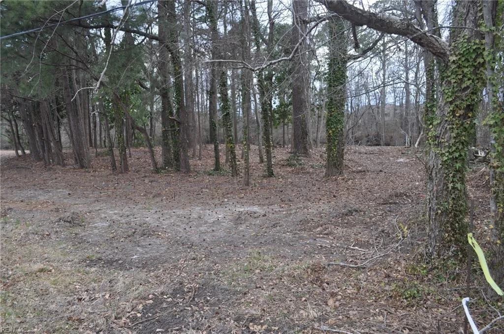 Par B George Washington Highway S, Chesapeake VA 23323 thumb 8