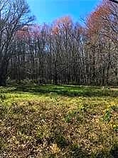 1644 S Battlefield Boulevard, Chesapeake VA 23322 - Main photo