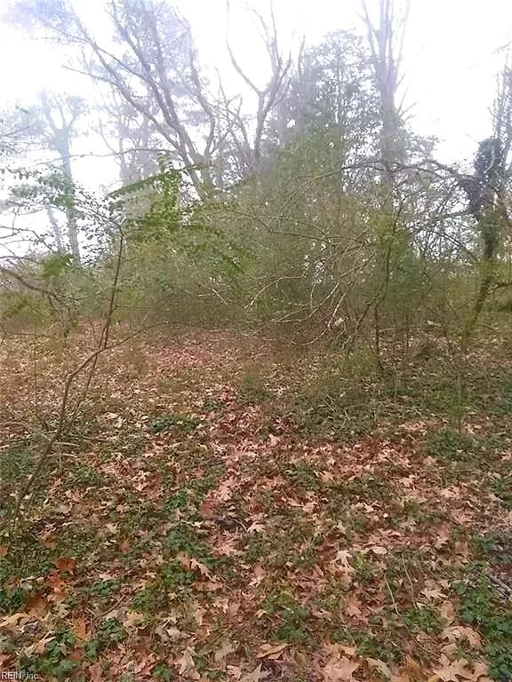 LOT 15 Farm Road, Smithfield VA 23430 - Photo 3