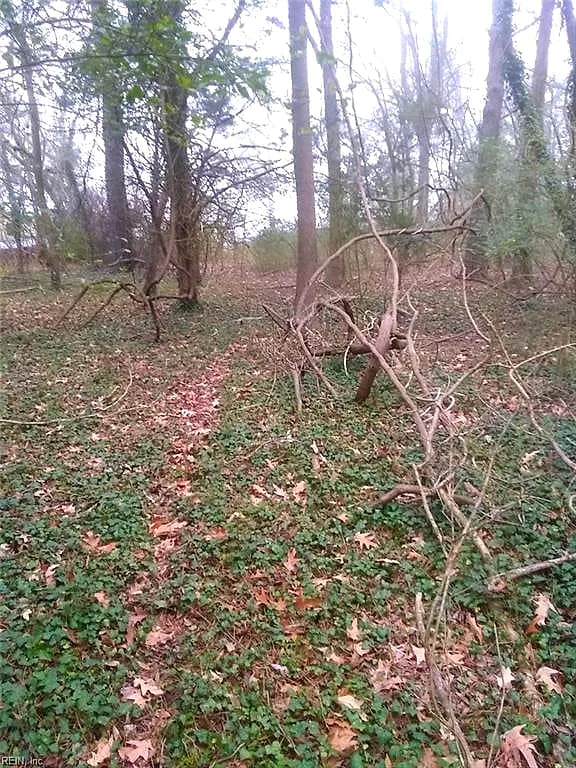 LOT 15 Farm Road, Smithfield VA 23430 - Photo 4