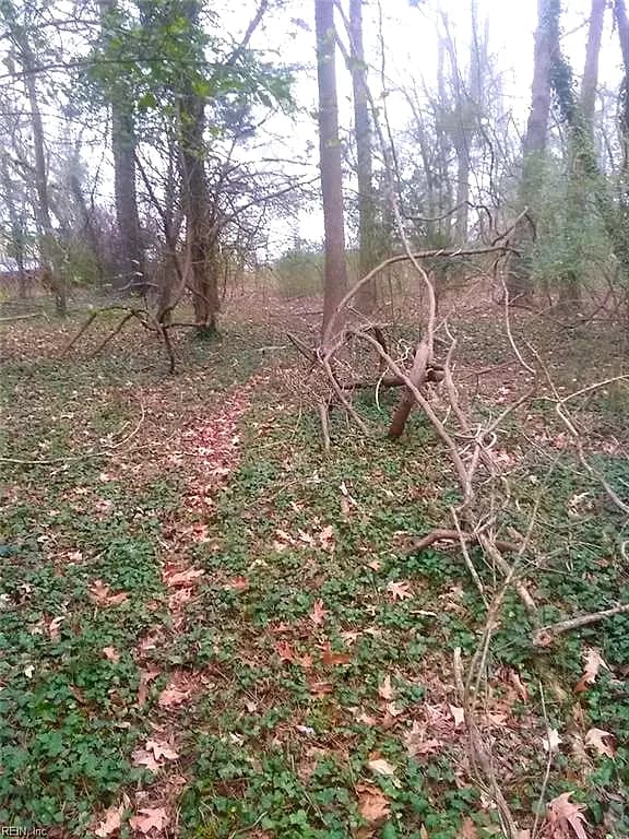 LOT 15 Farm Road, Smithfield VA 23430 - Photo 4
