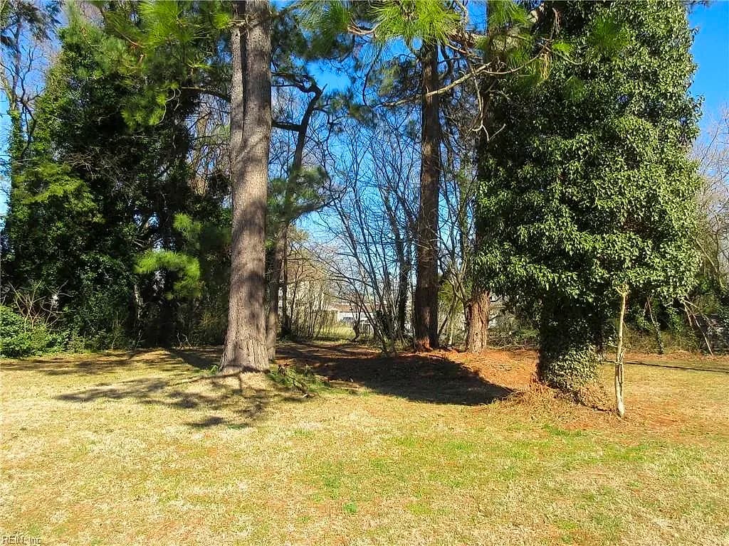 217 Downes Street, Hampton VA 23663 - Photo 4