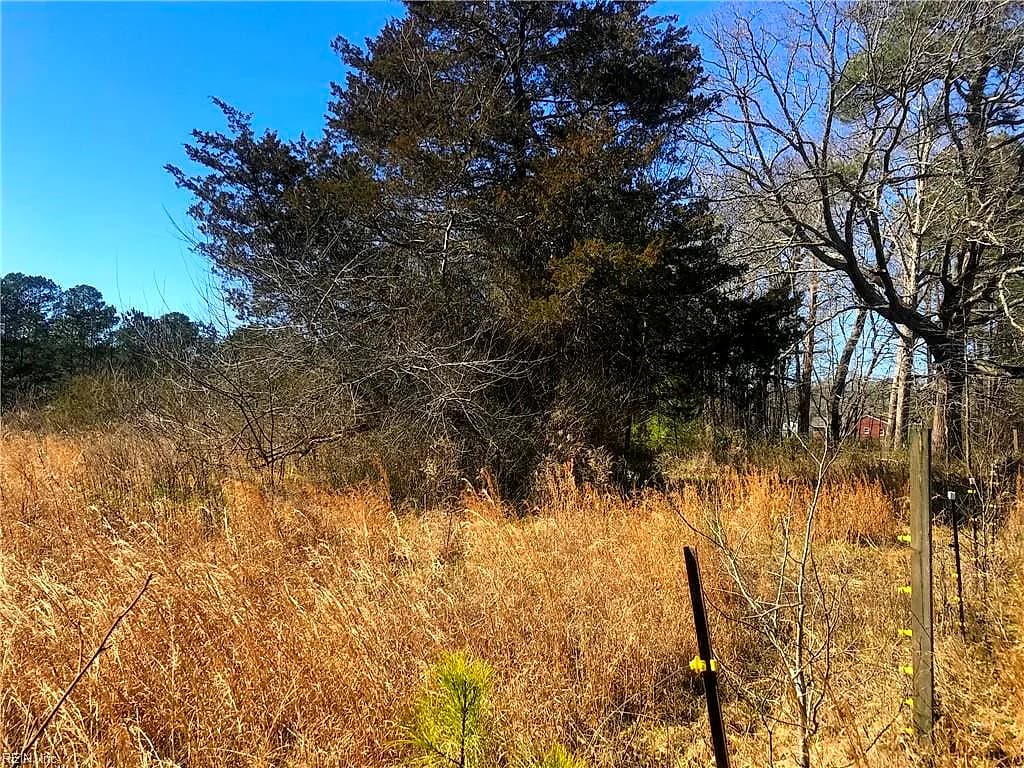 4AC General Mahone Boulevard, Ivor VA 23866 - Photo 3