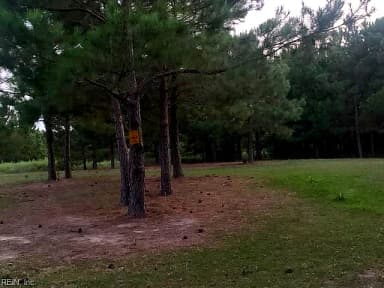 122 Ac Benn's Grant (Off Of) Boulevard, Smithfield VA 23430 thumb 11