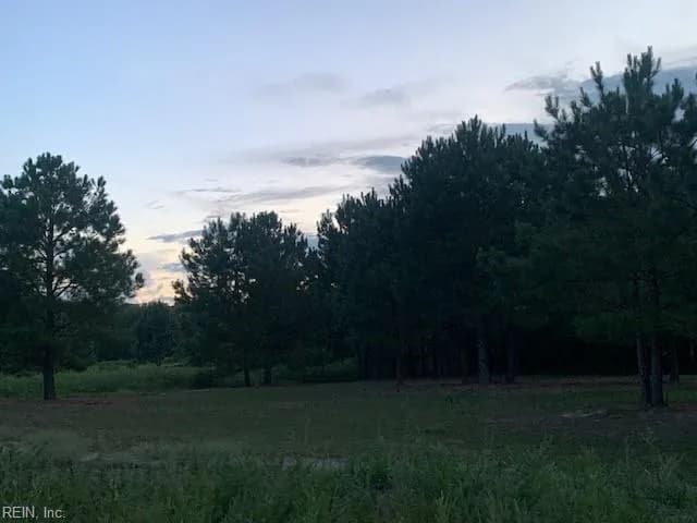 122 Ac Benn's Grant (Off Of) Boulevard, Smithfield VA 23430 thumb 9