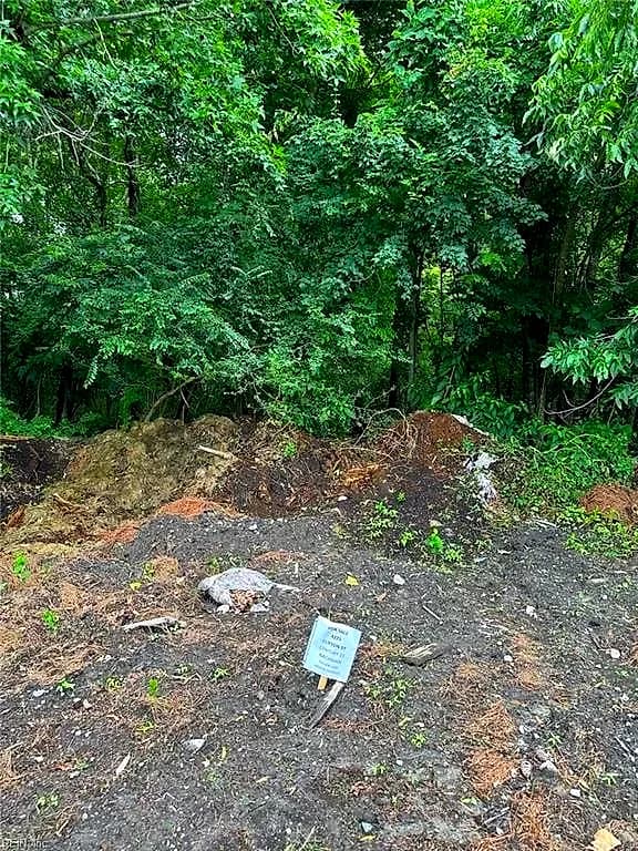 4225 Clifton Street, Suffolk VA 23435 - Photo 3