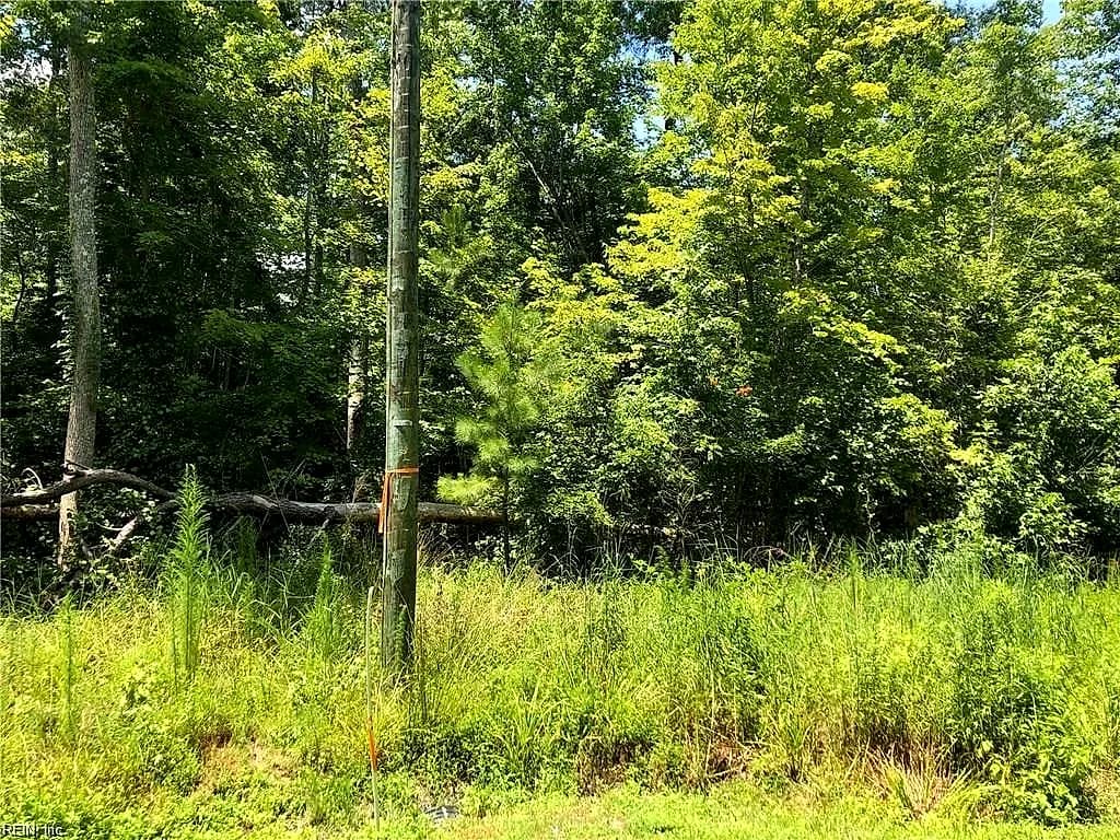 .26 AC Bartlett Circle, Isle Of Wight VA 23397 - Photo 3