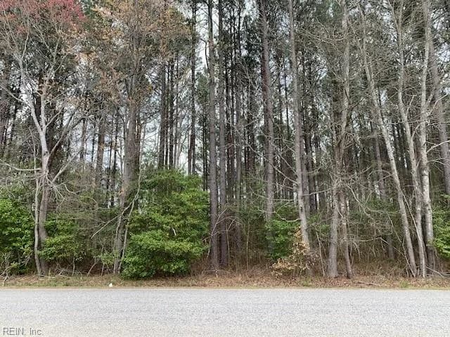 2.12ac Gilliam Road, Yale VA 23897 - Main photo