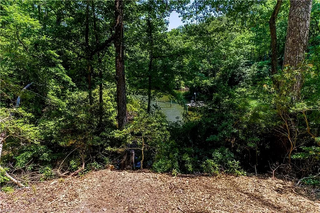 862 Twiggs Ferry Road, Hartfield VA 23071 - Photo 5