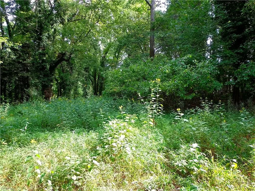 3.25AC Morgarts Beach Road, Smithfield VA 23430 thumb 6