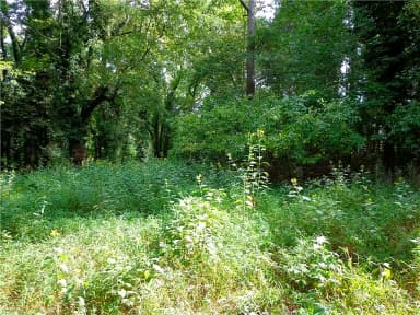3.25AC Morgarts Beach Road, Smithfield VA 23430 thumb 6