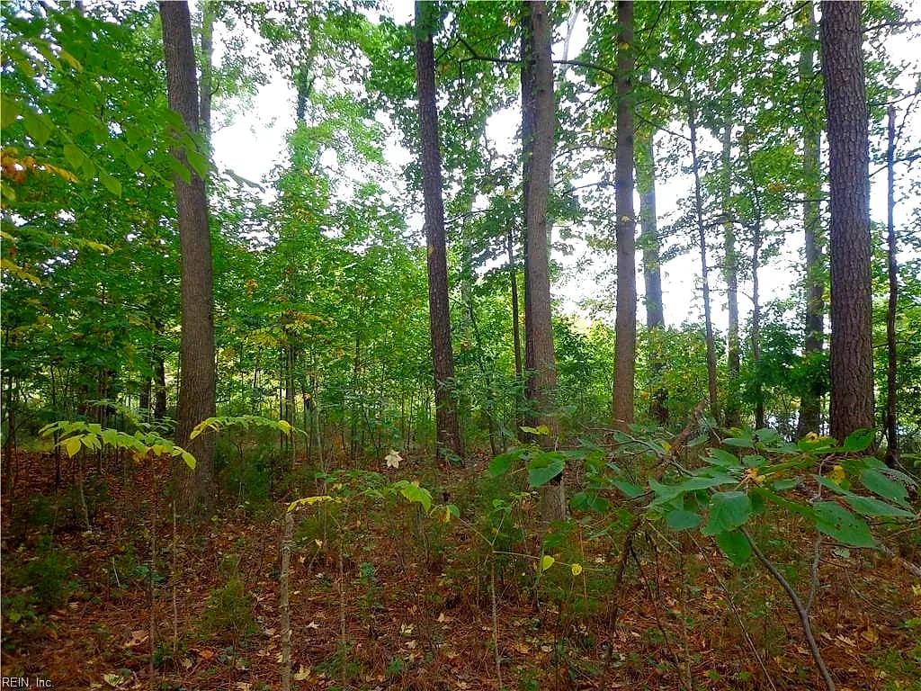 3.25AC Morgarts Beach Road, Smithfield VA 23430 thumb 7