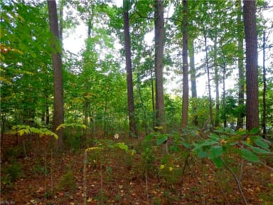3.25AC Morgarts Beach Road, Smithfield VA 23430 thumb 7