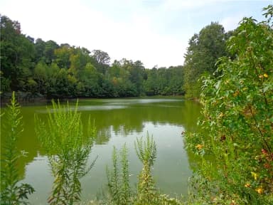 3.25AC Morgarts Beach Road, Smithfield VA 23430 thumb 9