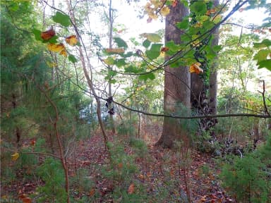 2.81AC Morgarts Beach Road, Smithfield VA 23430 thumb 2