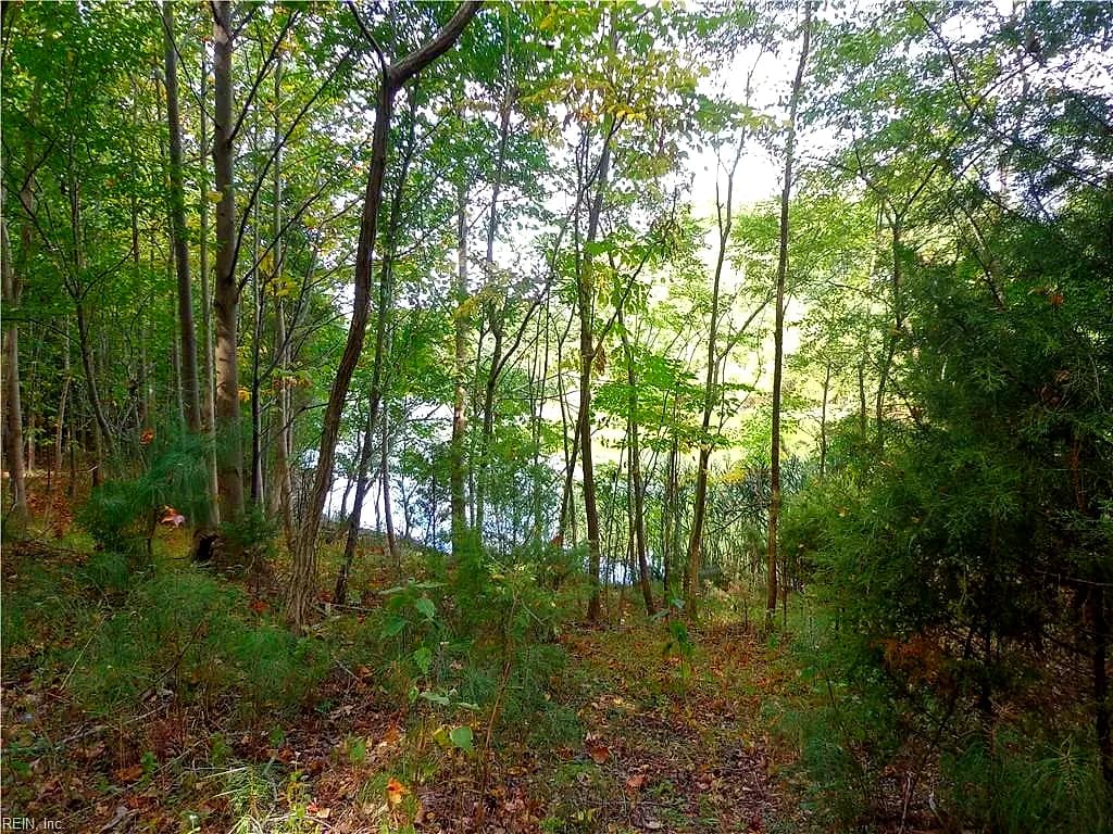 2.81AC Morgarts Beach Road, Smithfield VA 23430 - Photo 3
