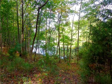 2.81AC Morgarts Beach Road, Smithfield VA 23430 thumb 3