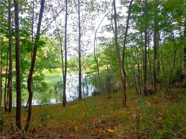 2.81AC Morgarts Beach Road, Smithfield VA 23430 thumb 4