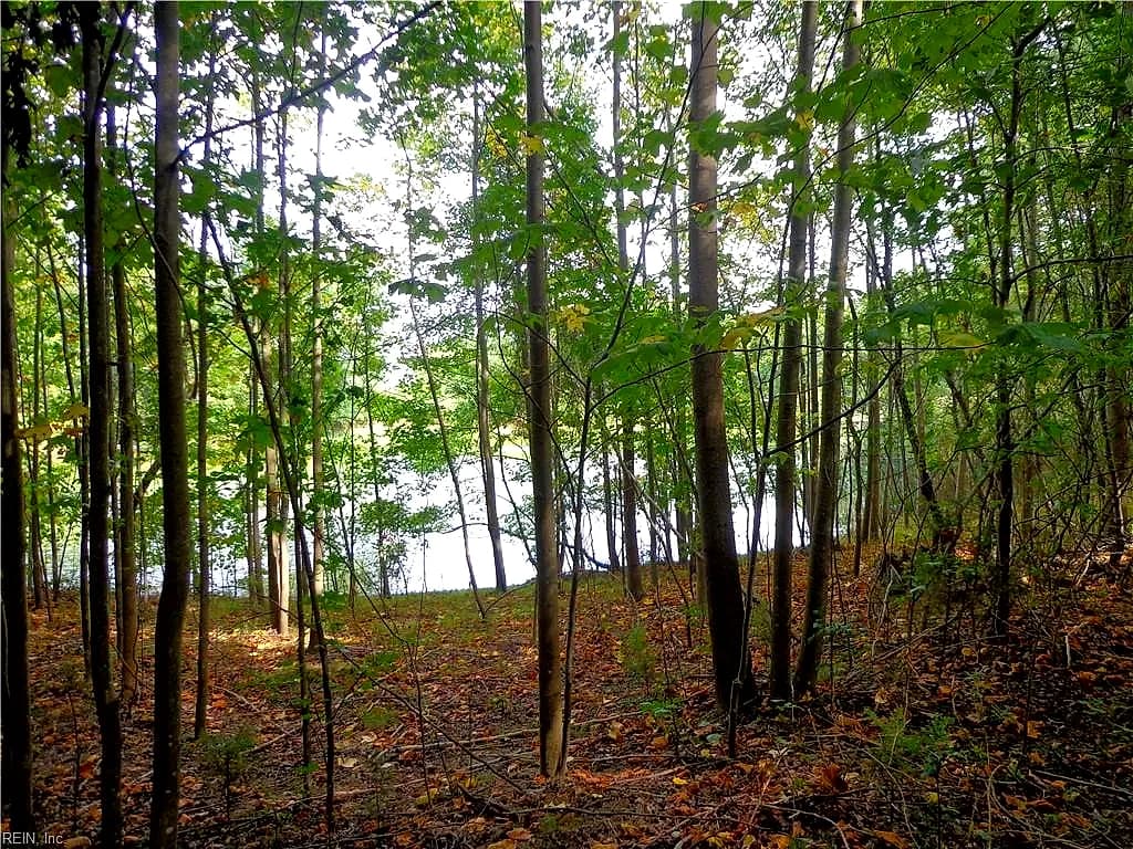 2.81AC Morgarts Beach Road, Smithfield VA 23430 - Photo 5