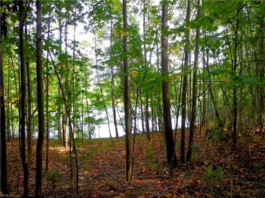 2.81AC Morgarts Beach Road, Smithfield VA 23430 thumb 5