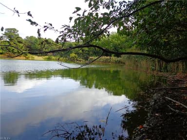 2.81AC Morgarts Beach Road, Smithfield VA 23430 thumb 7