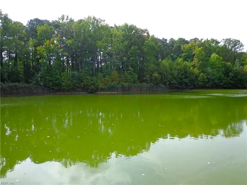 2.81AC Morgarts Beach Road, Smithfield VA 23430 thumb 9