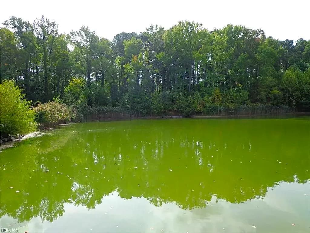 2.81AC Morgarts Beach Road, Smithfield VA 23430 thumb 10