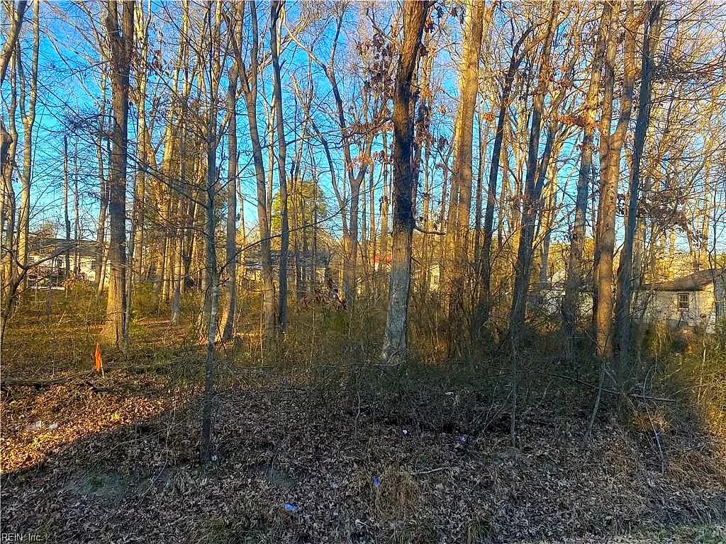802 Luke Street, Blackstone VA 23824 - Photo 3