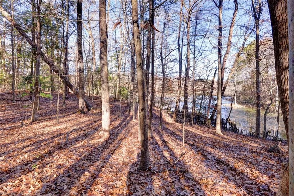 Lot 24 Ennisdale Drive, Smithfield VA 23430 thumb 7