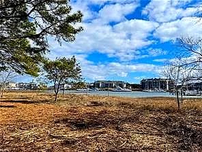 231 Benthall RD - Photo 3