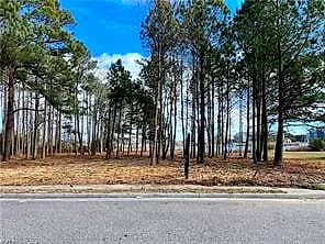 231 Benthall RD - Photo 5