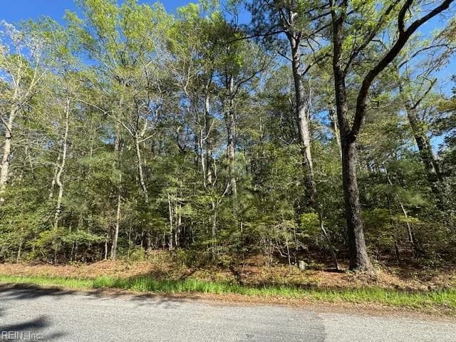 2.67 Godfrey Bay RD, COBBSCREEK VA 23035 thumb 10
