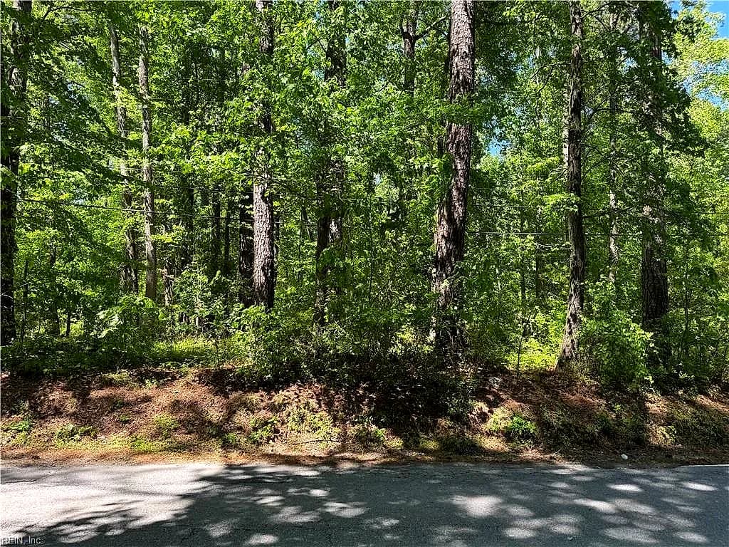 Lot 80 Pughsville RD, SUFFOLK VA 23435 - Photo 3