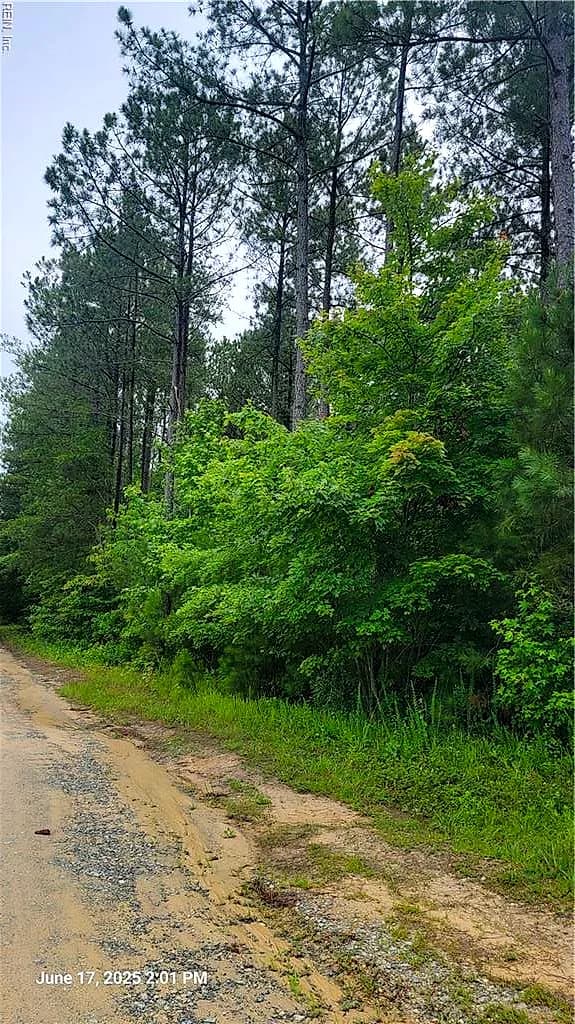 25+AC Buchanan LN, GLOUCESTER VA 23061 - Photo 3