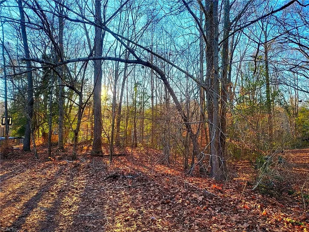 Lot 18 Beech Tree CT, GLOUCESTER VA 23061 - Photo 3