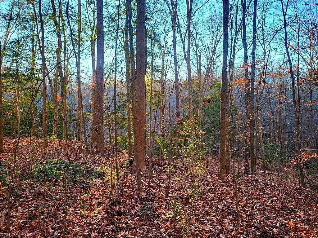 Lot 18 Beech Tree CT, GLOUCESTER VA 23061 - Photo 4