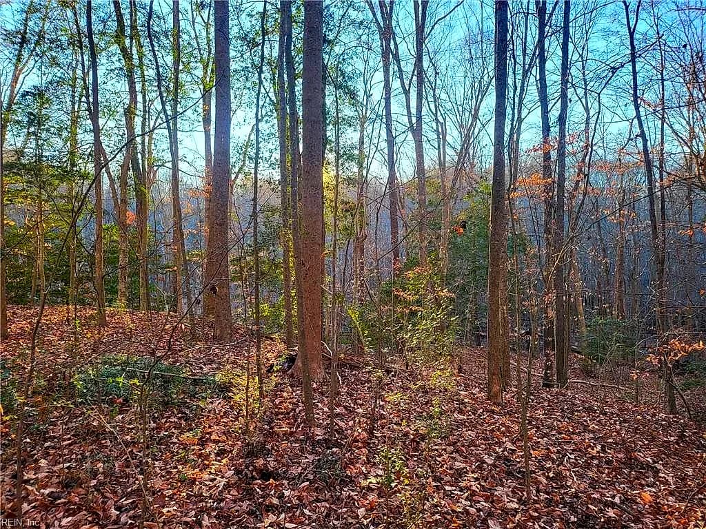 Lot 18 Beech Tree CT, GLOUCESTER VA 23061 - Photo 4