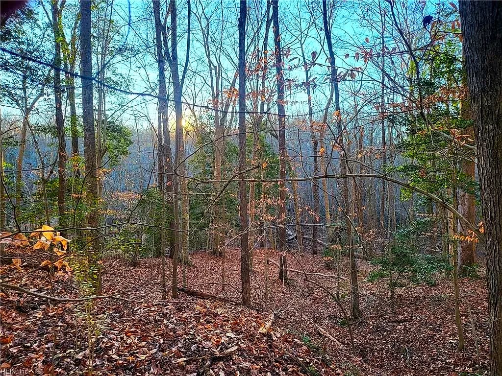 Lot 18 Beech Tree CT, GLOUCESTER VA 23061 - Photo 5