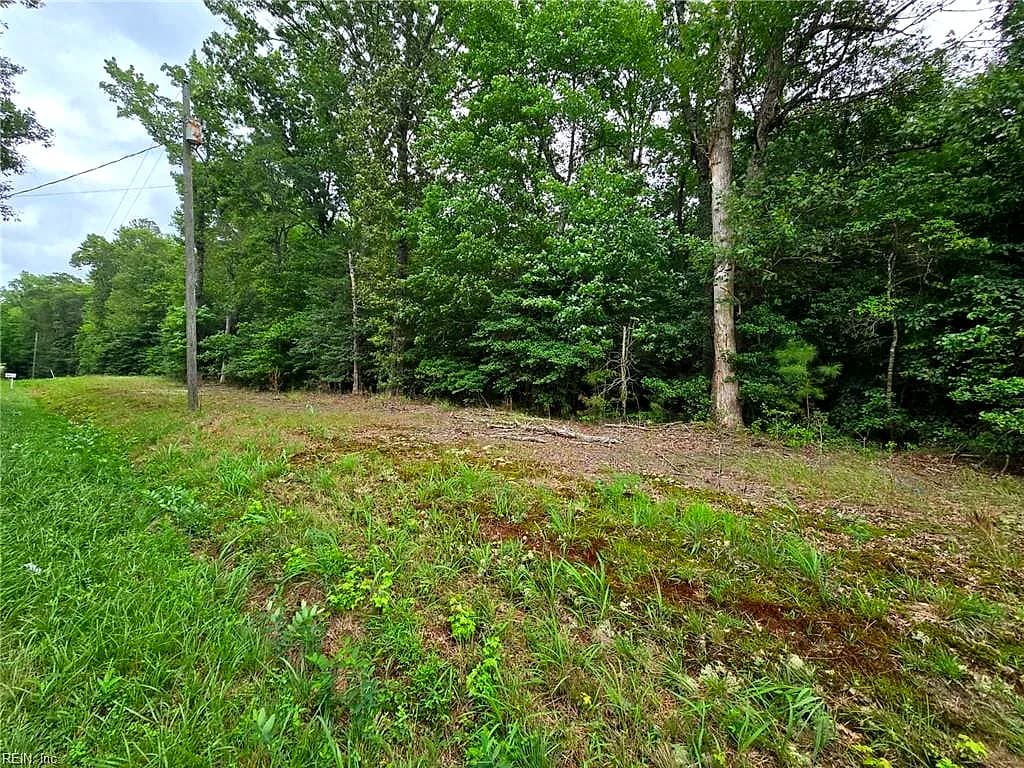 25.5AC Woodland DR, WINDSOR VA 23487 - Photo 4