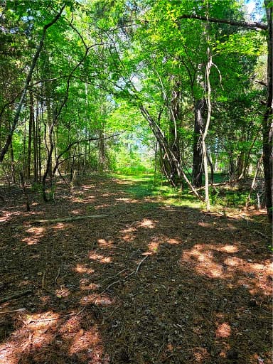 2 acr Horn Harbor AVE, NEW POINT VA 23125 thumb 6