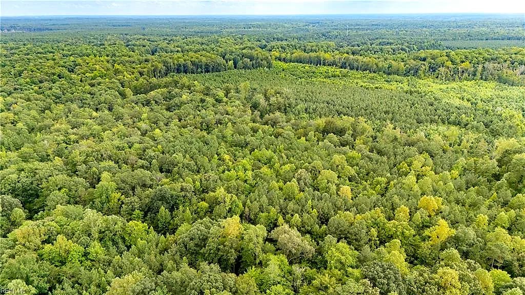 10+ac Beech Creek (10.88ac) RD, GLOUCESTER VA 23061 - Photo 3