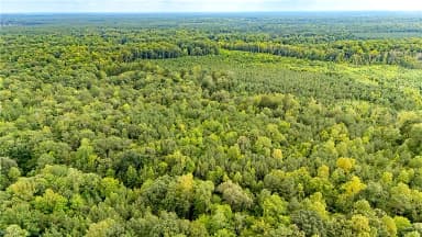 10+ac Beech Creek  (10.88ac) RD, GLOUCESTER VA 23061 thumb 3