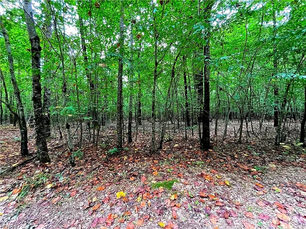 10+ac Beech Creek (10.88ac) RD, GLOUCESTER VA 23061 - Photo 5