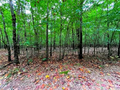 10+ac Beech Creek  (10.88ac) RD, GLOUCESTER VA 23061 thumb 5
