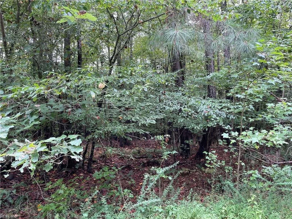 10+ac Beech Creek  (10.88ac) RD, GLOUCESTER VA 23061 thumb 6