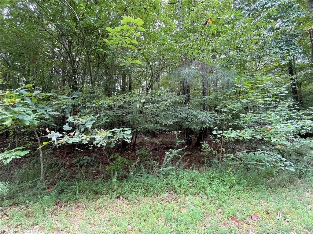 10+ac Beech Creek  (10.88ac) RD, GLOUCESTER VA 23061 thumb 7