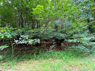 10+ac Beech Creek  (10.88ac) RD, GLOUCESTER VA 23061 thumb 7