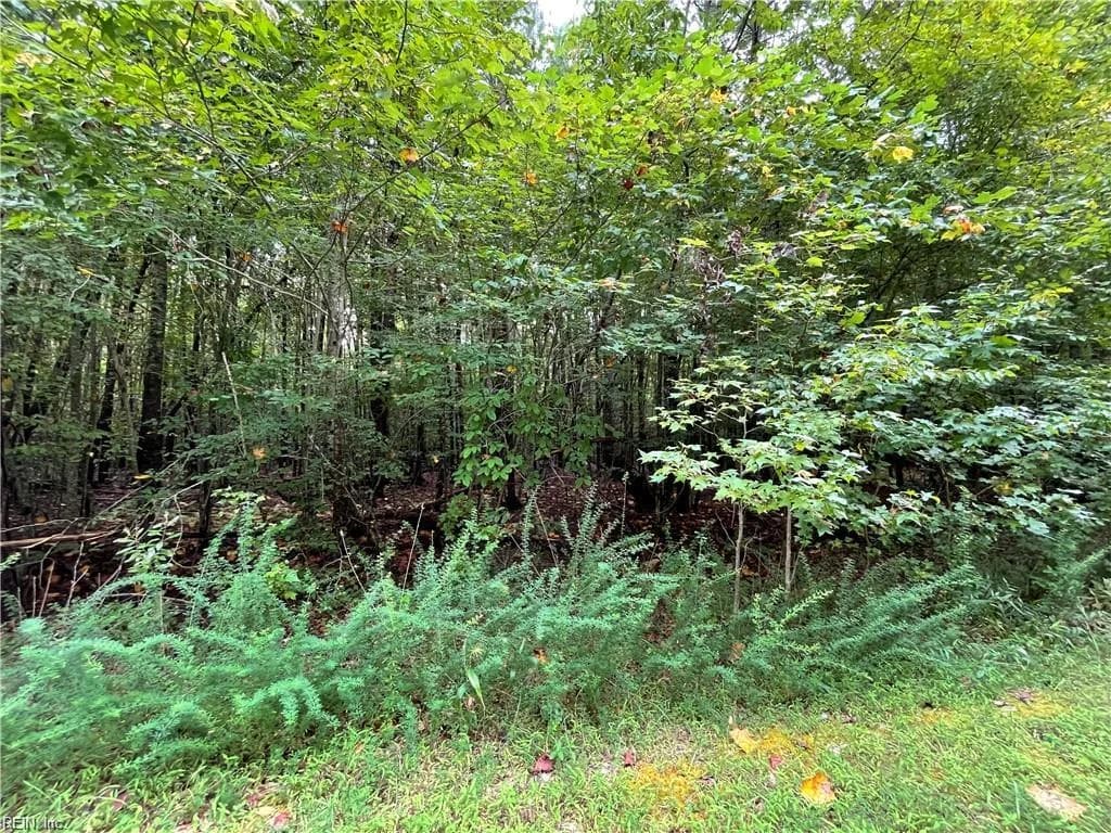 10+ac Beech Creek  (10.88ac) RD, GLOUCESTER VA 23061 thumb 8