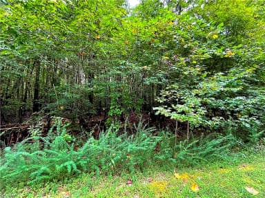 10+ac Beech Creek  (10.88ac) RD, GLOUCESTER VA 23061 thumb 8